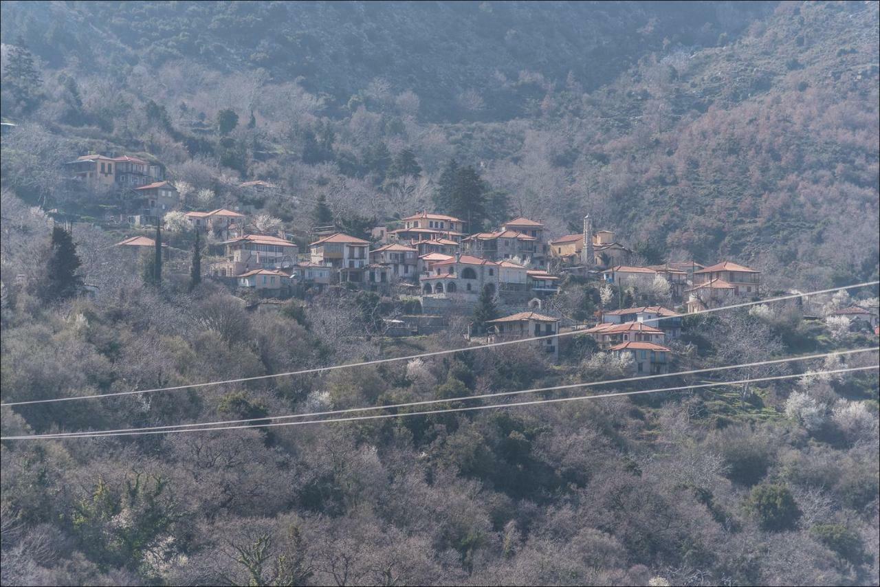 Stone Mansion Anavryti, Αμα 20569 Villa Mystras Bagian luar foto