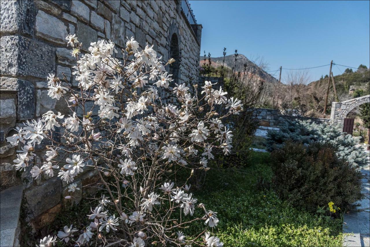 Stone Mansion Anavryti, Αμα 20569 Villa Mystras Bagian luar foto