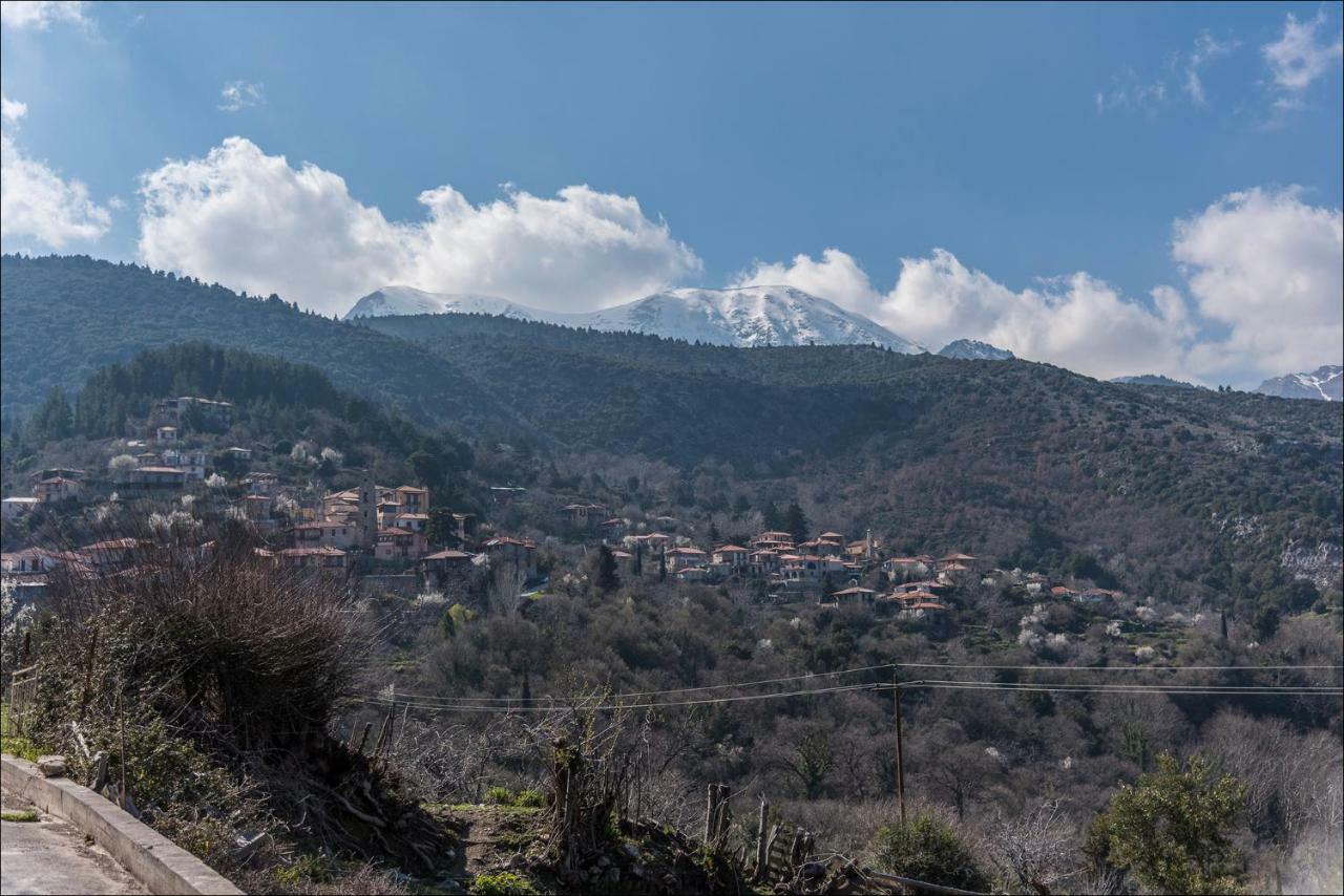 Stone Mansion Anavryti, Αμα 20569 Villa Mystras Bagian luar foto